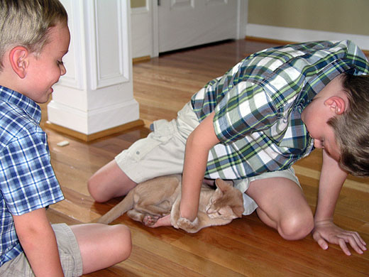 Boys Playing