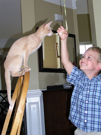 Leo and Balloon