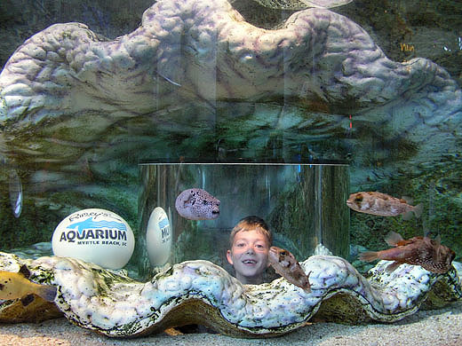 Brendan Clam